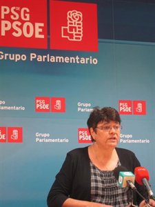 La diputada del PSdeG, Marisol Soneira