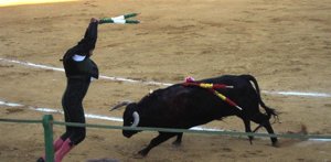 Banderillero En La Plaza De Toros De Valladolid