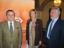 Fuentes, Alarcón Y Fernández De Mesa