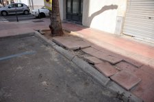 Árbol Daña Una Acera En La Calle Azorín 