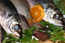 Alimentos