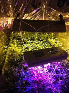 Sistema Calor, Iluminación Artificial, Ventilación Plantación Marihuana Interior