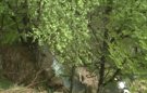 Aparece el cadáver del abogado asesinado en Burgos