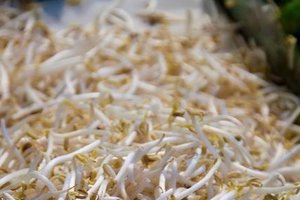La soja puede evitar el cáncer de mama