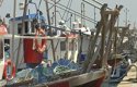 Pescadores piden cerrar la frontera a Gibraltar