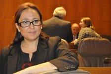El PSOE lamenta que el Gobierno “considere la educación un gasto”