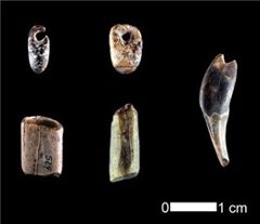 Foto: Alemania fue cuna del arte y la música en Europa... hace más de 40.000 años (UNIVERSITAET TÜBINGEN)