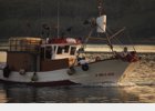 Foto: Los pescadores españoles no faenan en la zona de conflicto con Gibraltar