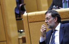 Mariano Rajoy En El Pleno Del Senado