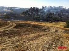 Incendio De Sant Guim De Freixenet