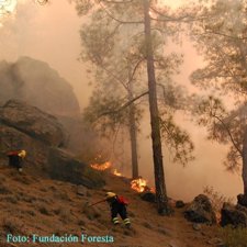 INCENDIO