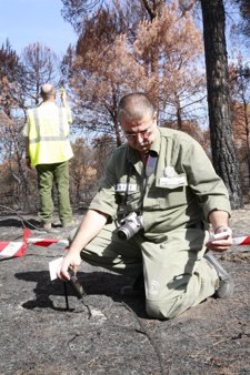Agentes de Medio Ambiente investigando un incendio forestal