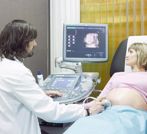 La Seguridad Social destinó65,5 millones a prestaciones por maternidad y paternidad