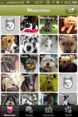 Recurso Doggy Talky