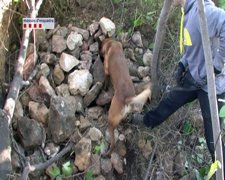 Mossos encuentran cadáver
