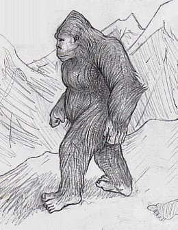Yeti