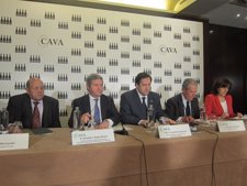 Presentación de los resultados Consell Regulador del Cava