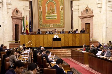 Foto: Los diputados del Parlamento andaluz cobrarán durante 2013 un mínimo de 3.820 euros al mes (EUROPA PRESS/PARLAMENTO ANDALUZ)