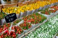 Mercado de flores de Ámsterdam