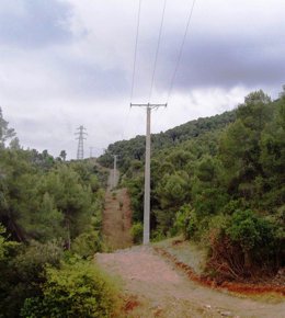 Foto: El consumidor conocerá en la factura el coste de las redes eléctricas (ENDESA)