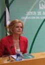 
                              Foto: Cultura.- Junta lamenta que el PP-A intente "tapar las vergüenzas" de Wert "ridiculizando" el 'Pacto por la Cultura'
