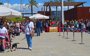 
                              Foto: Una docena de perros abandonados encuentran familia en el segundo desfile de Bioparc Valencia