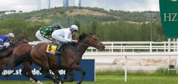 Foto: Brillante remontada de 'Labros' en el Gran Premio Nacional (CARLOS GUTIÉRREZ)
