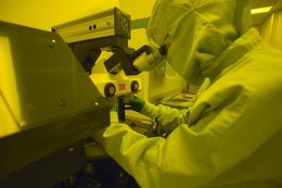 Foto: Descubren el mecanismo que permite a la Legionella camuflarse en el organismo (CIC)