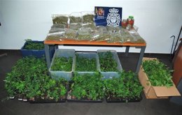 Foto: Intervenidos 5 kilos de marihuana en un local 'Grow Shop' de Alcalá (POLICÍA NACIONAL)