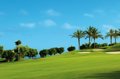 Para los amantes del golf