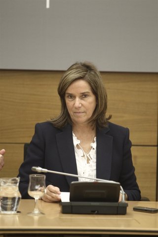 PSOE pide que Mato y Fernández Díaz expliquen en el Congreso las acciones del Gobierno sobre el Plan Nacional de Drogas