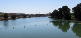 Foto: WWF rechaza "componendas" con el dragado del Guadalquivir y recuerda que las conclusiones científicas son "vinculantes" (EUROPAPRESS)