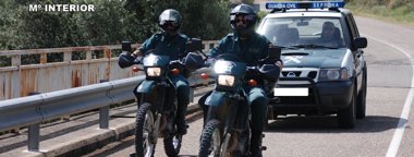 Foto: Trescientos detenidos por delitos contra el medioambiente en 2012  (EUROPA PRESS/GUARDIA CIVIL)