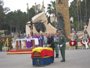 Emotivo funeral a los militares muertos en la base de Viator (Almería)