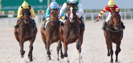 Foto: (Previa) El Hipódromo de la Zarzuela acoge este domingo cinco nuevas carreras (CARLOS GUTIÉRREZ)