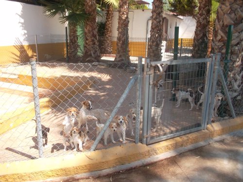 Residencia canina Paraíso en la provincia de Málaga