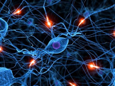 Foto: Consiguen revertir la pérdida de conexiones cerebrales en Alzheimer (EUROPA PRESS/DE ALBA INNOVACIÓN)