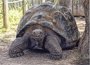 
                              Foto: Ecuador.-Más de 180.830 personas visitaron en 2012 las Islas Galápagos, que obliga a turistas a registrarse por Internet