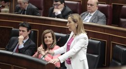 Foto: Pastor anuncia la licitación de contratos AVE en colaboración con el capital privado por 1.650 millones (EUROPA PRESS)
