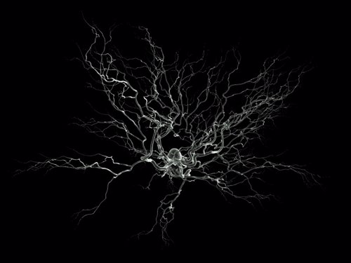 Neurona