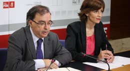 Foto: PSOE asegura que el nuevo modelo sanitario de la Junta "coincide al 95% con el plan de privatización previsto" (EUROPA PRESS/PSOE)
