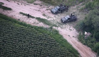 Las fuerzas federales de México entrarán "plenamente" en Michoacán