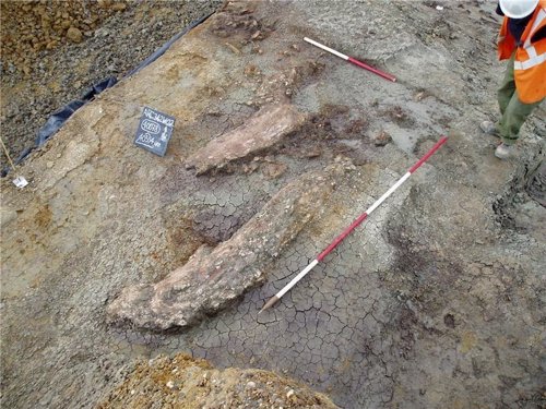 Elefante prehistórico