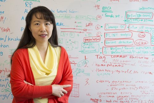 Li Ding, Autora Del Estudio