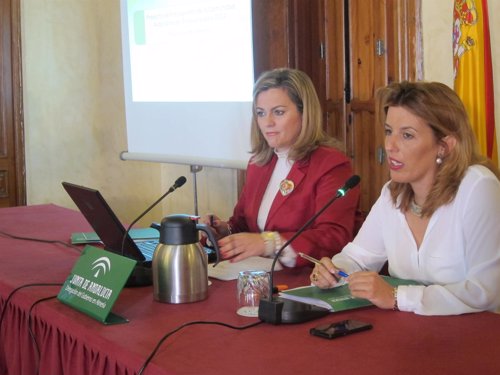 Serrano y Ferrer presentan en rueda de prensa los presupuestos para 2014