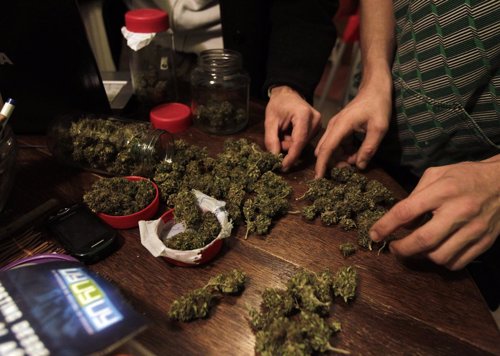 Personas secando marihuana.