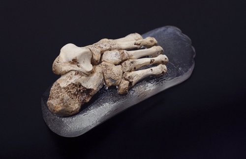 Pie de Atapuerca