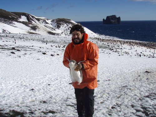 El profesor de Toxicología de la UMU, Miguel Motas Guzmán, en la Antártida