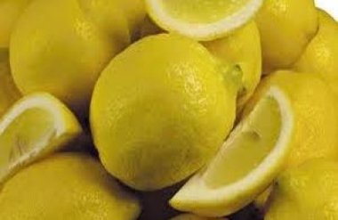 Foto: El CIFA impartirá un curso sobre el cultivo del limonero en Novales (TURISMO DE CANTABRIA)