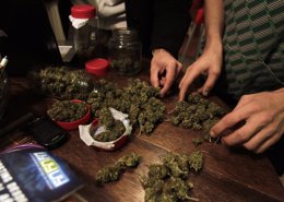 Foto: La ley de la marihuana restringirá su uso en "trabajos de riesgo" (REUTERS)